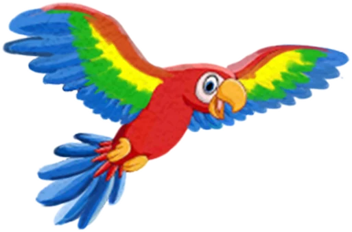 A colourful macaw parrot